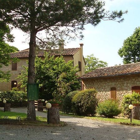 Agriturismo Il Prato Palaia Luaran gambar